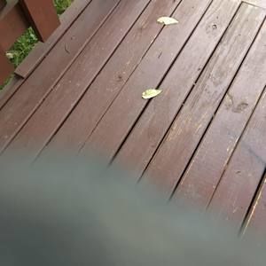 Meet your Posher, Francis